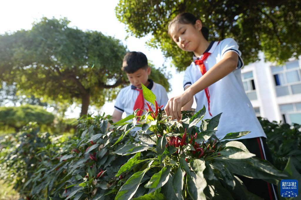 恒锋娱乐g22